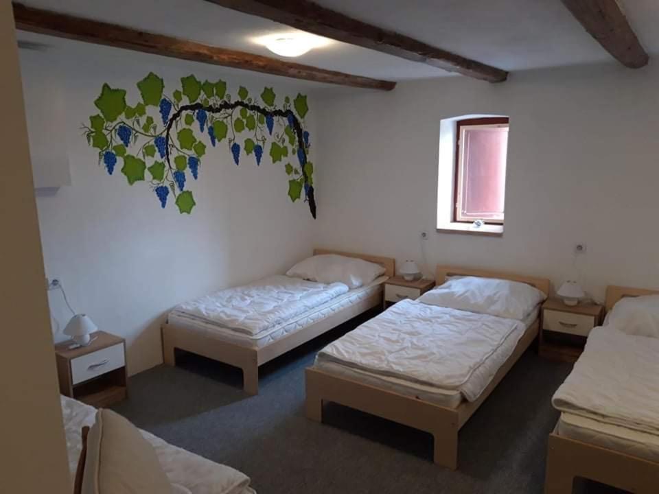 Penzion Na Vyhlídce Cejkovice  Exterior foto